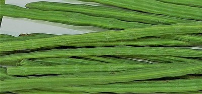 Drumsticks (Moringa)