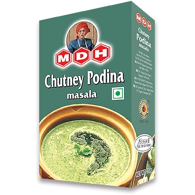 MDH CHUTNEY PODINA MASALA 100G